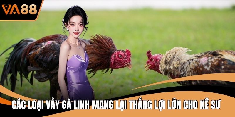 Các Loại Vảy Gà Linh Mang Lại Thắng Lợi Lớn Cho Kê Sư