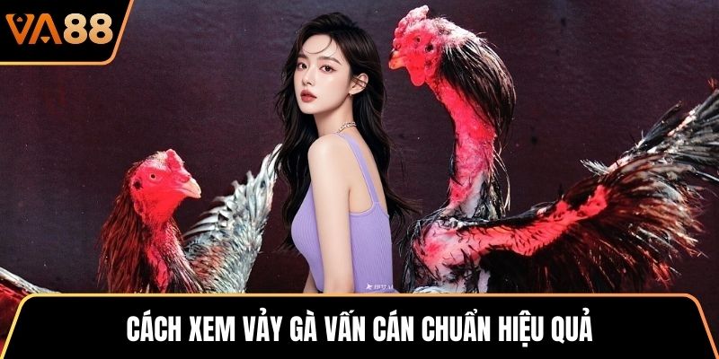 Cách xem vảy gà vấn cán chuẩn hiệu quả