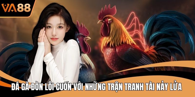 Đá Gà Đòn Lôi Cuốn Với Những Trận Tranh Tài Nảy Lửa