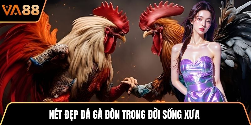 Nét đẹp đá gà đòn trong đời sống xưa
