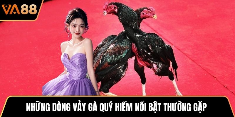 Những dòng vảy gà quý hiếm nổi bật thường gặp