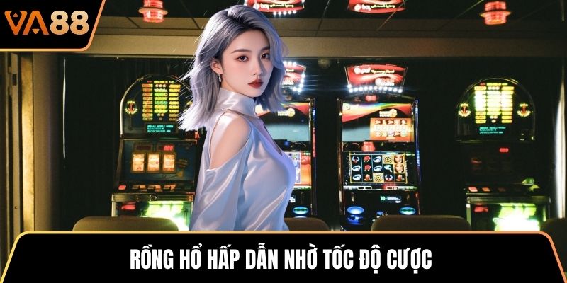 Rồng Hổ hấp dẫn nhờ tốc độ cược