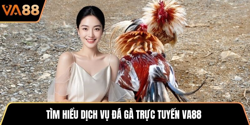 Tìm hiểu dịch vụ đá gà trực tuyến VA88