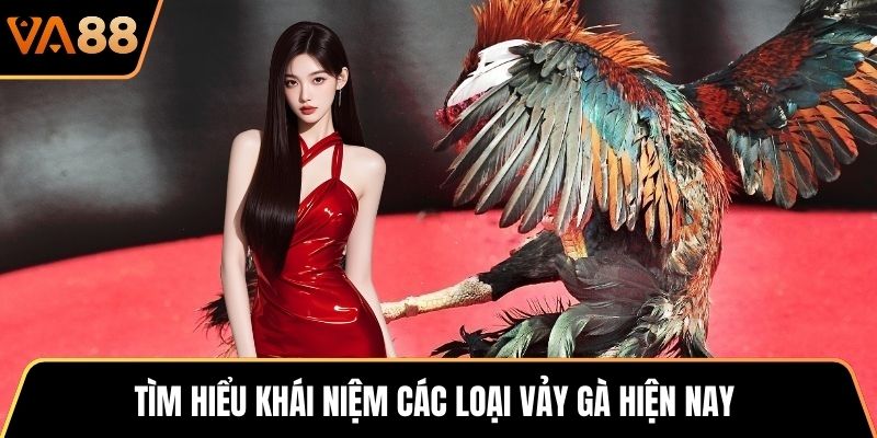 Tìm hiểu khái niệm các loại vảy gà hiện nay