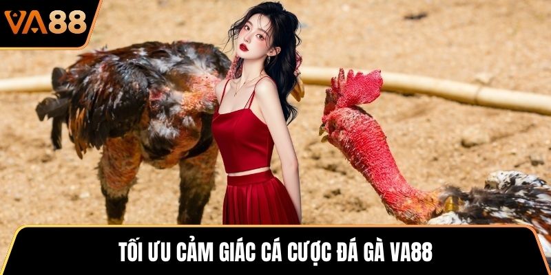 Tối ưu cảm giác cá cược đá gà VA88