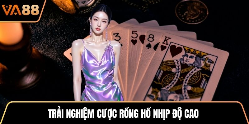 Trải nghiệm cược Rồng Hổ nhịp độ cao